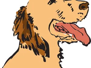 14224825_1745757329016650_8659944456910419195_n