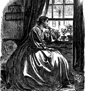 13754377_1728530257406024_2650484086717815573_n