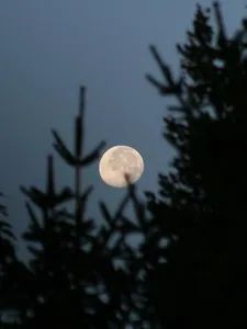 Luna