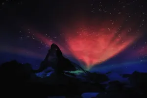 13585183_1718399565085760_261105527350079360_o